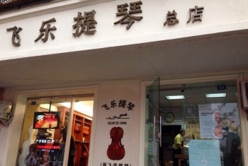 飞乐总店